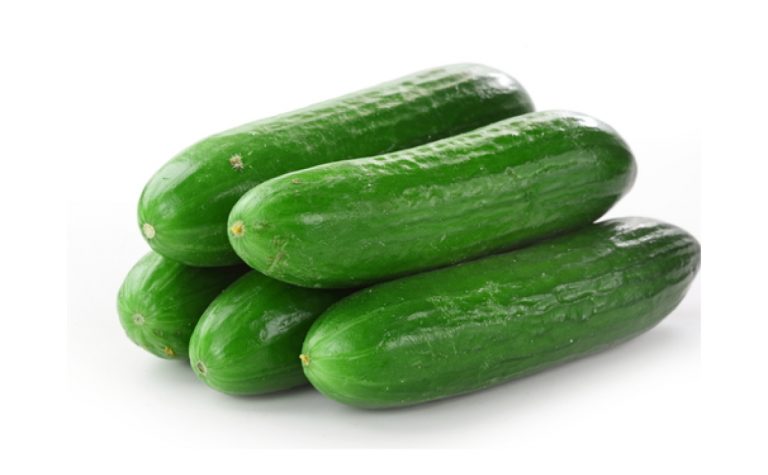 Lebanese Cucumber – $6.99kg – The Farmers Gate